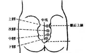 膀胱經很重要，常揉按，捏脊疏通氣機(腰酸背痛)