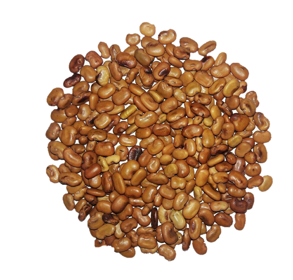 Goat Fodder Seeds Purchase Online Goat Farming