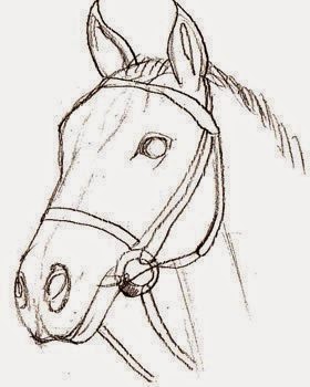 رسم حصان بقلم رصاص للمبتدئين
