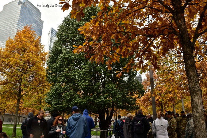 "Survivor Tree" at 9/11 Memorial , New York City --- Ms. Toody Goo Shoes