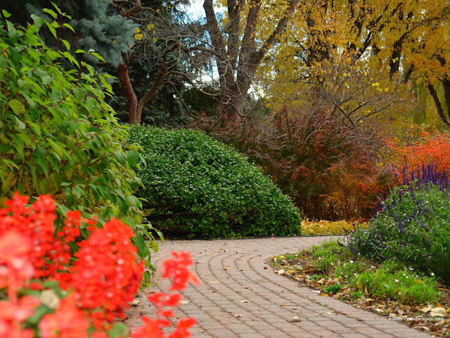 autumn scenery autumn scenery