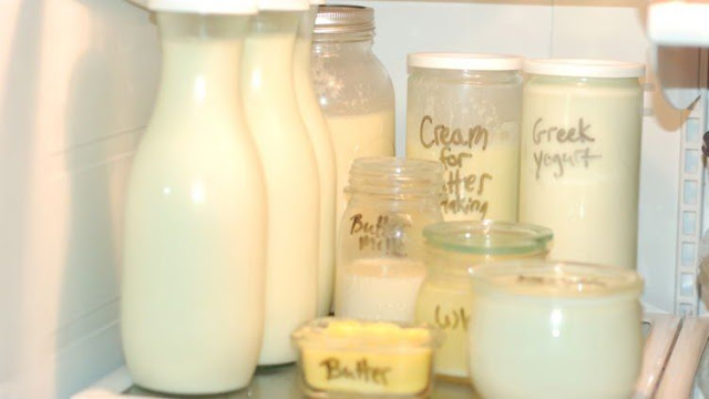 11 Cara ini Bisa Bantu Mama Muda Untuk Menyimpan Makanan Dalam Kulkas Dengan Benar 11 Cara ini Bisa Bantu Mama Muda Untuk Menyimpan Makanan Dalam Kulkas Dengan Benar