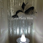 Black White Feathers Hire