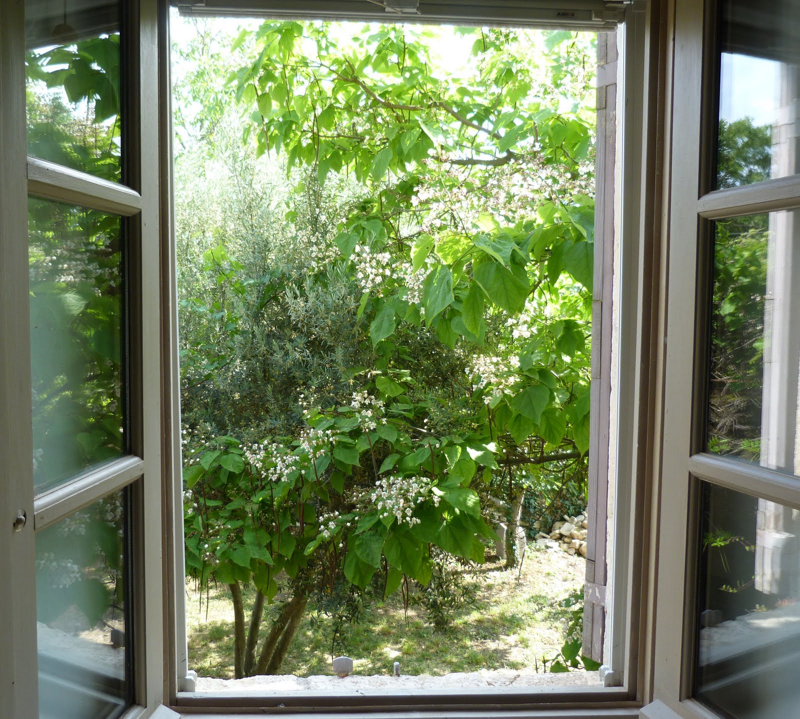 open-window.jpg