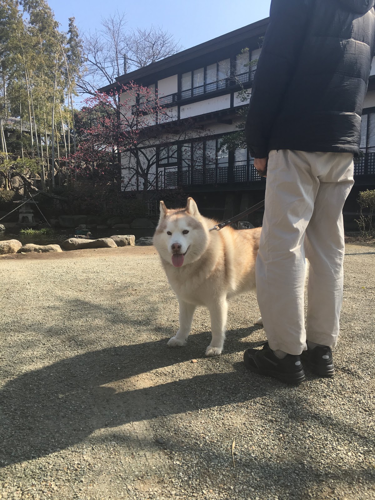 服部牧場から宮ヶ瀬ダム見学