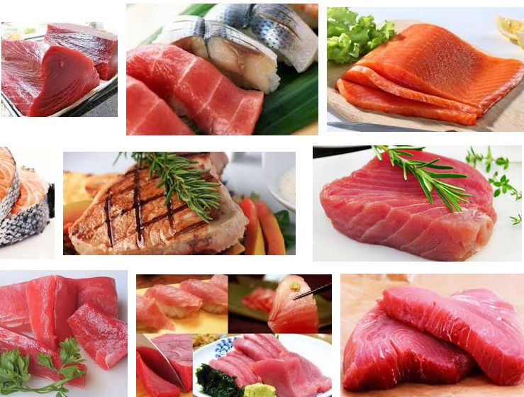 Manfaat Ikan Tuna untuk Kesehatan tubuh Secara Alami