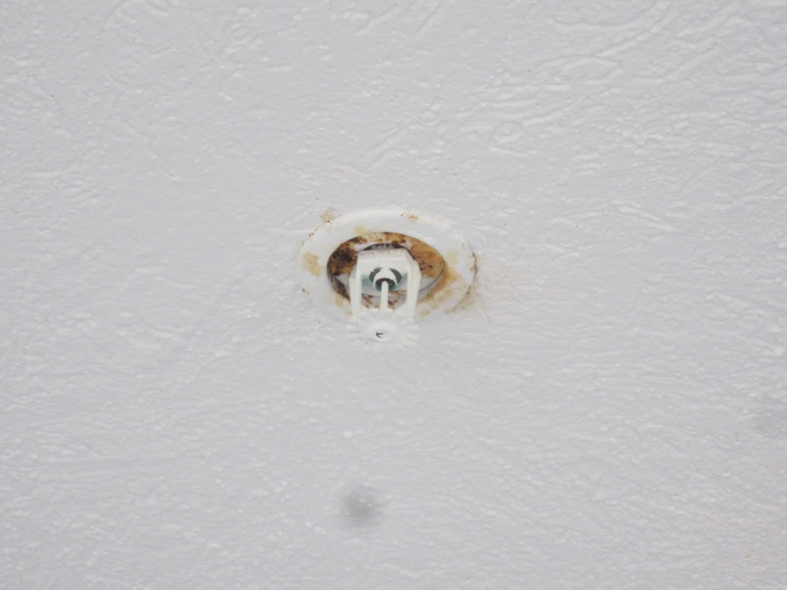 Fire Protection Deficiencies Corroded Fire Sprinkler Heads