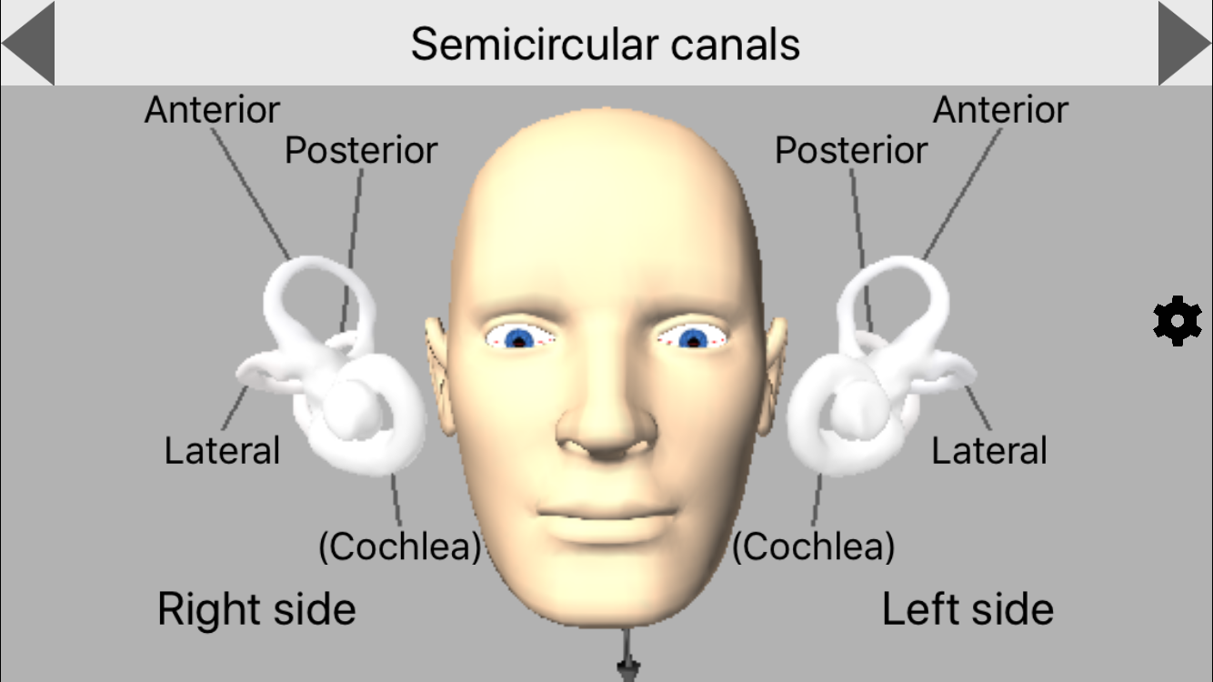 Free Educational App Demonstrating How Inner Ear Balance Works in