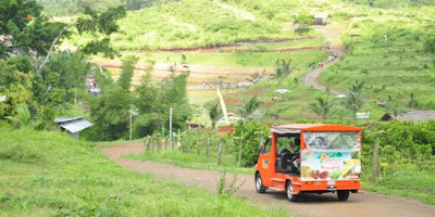 Kebun Buah Agro Wisata Ngebruk Patean di Kendal Jawa Tengah Kebun Buah Agro Wisata Ngebruk Patean di Kendal Jawa Tengah