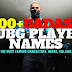 100+ Best Pubg Player Names from Heroes & Villains | Pubg Player Names
