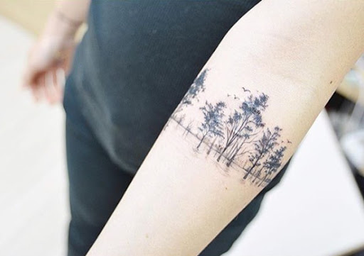 Esta floresta