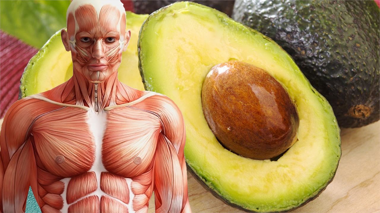 Your Body Will Thank You For Eating Avocado Every Day