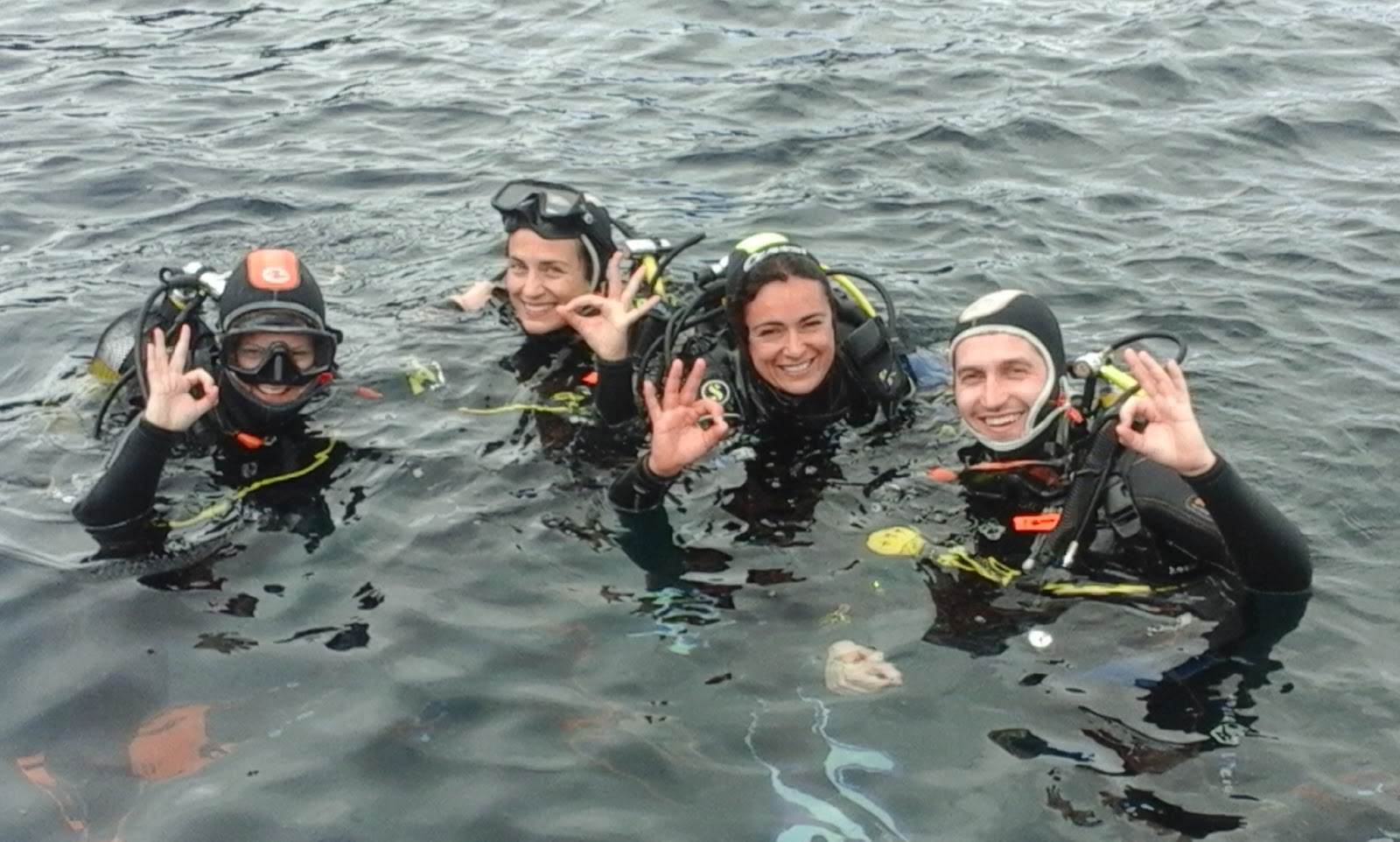 Best Spot Azores PADI 5* Dive Center PADI Courses Ponta Delgada Azores