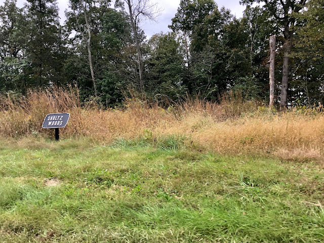 Shultz Woods at Gettysburg Battlefields