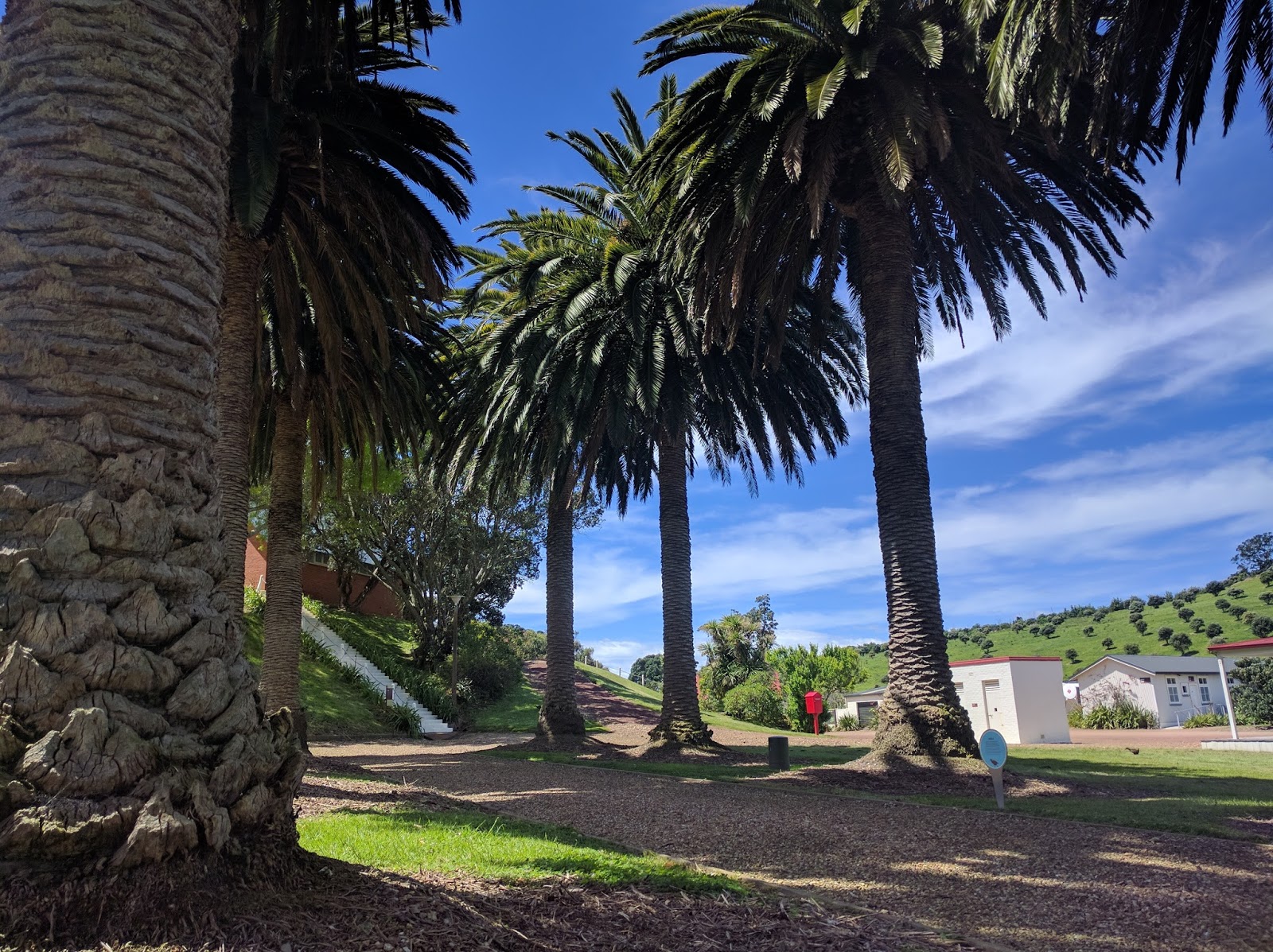 Hiking around Rotoroa Island stunning day trip from Auckland