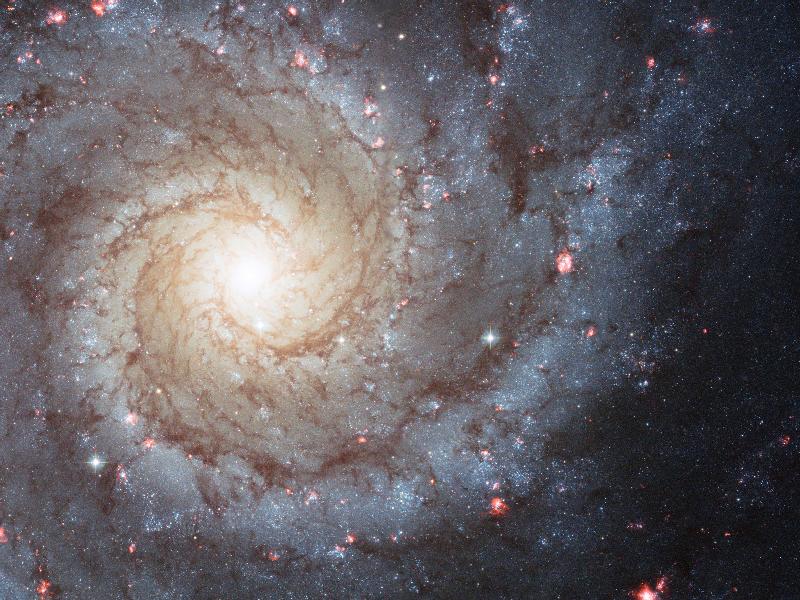 Galaxia Espiral M74 Desde El Hubble Astronomia 