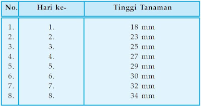 Tinggi kecambah tanaman kacang panjang. Tinggi kecambah tanaman kacang panjang.