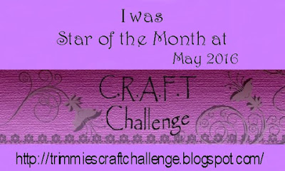 Star of the Month at CRAFT