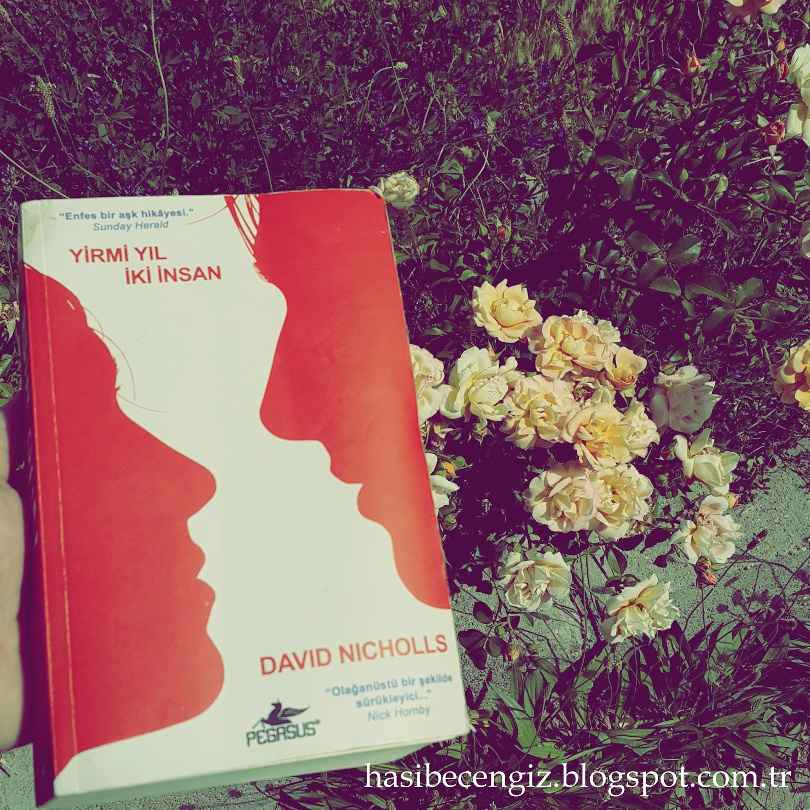 Дэвид николс один день. Nicholls David "one Day". One Day Дэвид. One Day David Nicholls book Cover back.