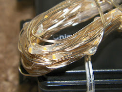 lights string led rtgs warm plastic remote came because nice control