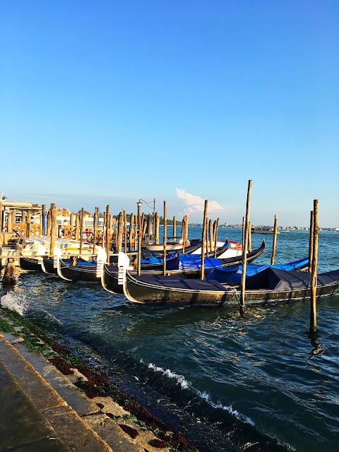 gondolas in venice, italy