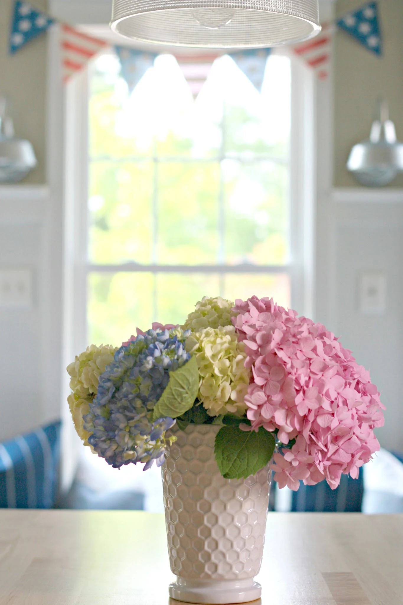red white and pink hydrangeas