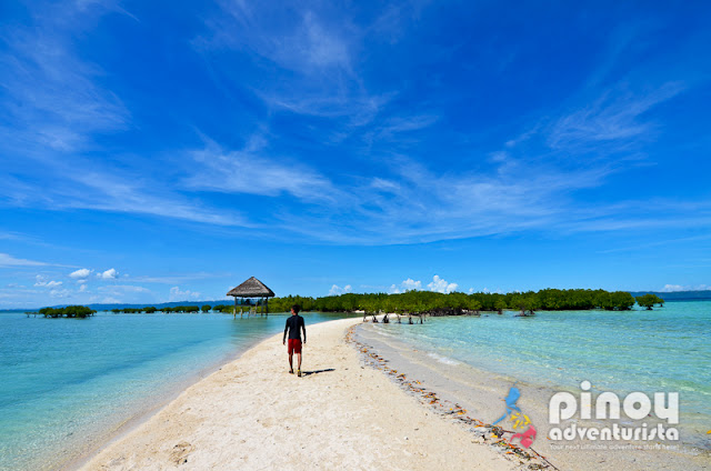 Masbate Tourist Spots Buntod Reef Marine Sanctuary and Sandbar