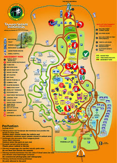  Apakah anda pernah mengunjungi kebun binatang  Taman Safari Indonesia Cisarua Bogor