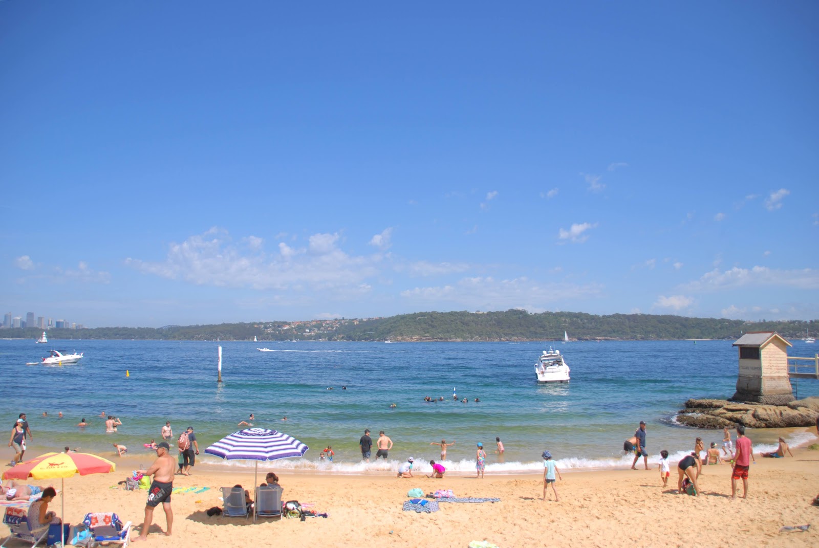 Woody at Home Lady Bay Beach Watsons Bay Woody at Home Lady Bay Beach Watsons Bay