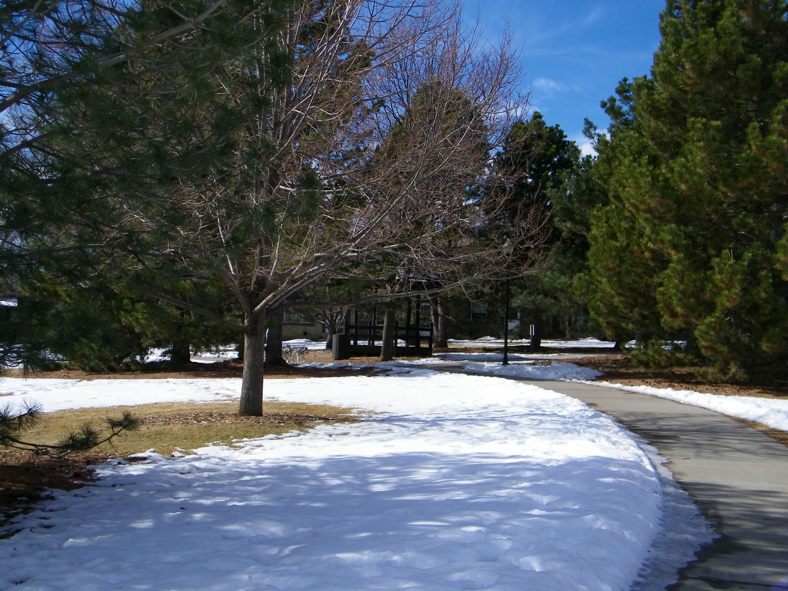 Trail and Park Reviews Belmar Park, Lakewood Colorado; A great place