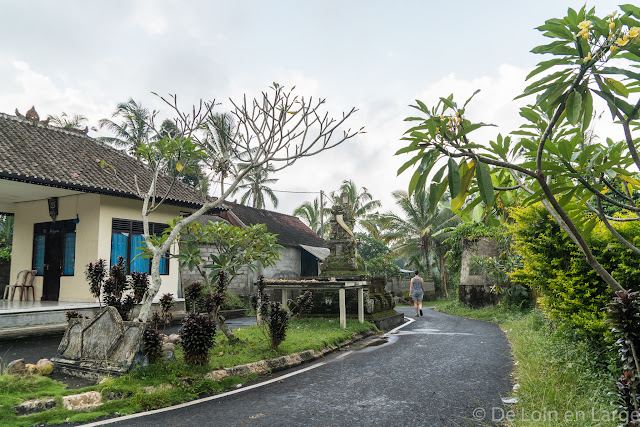 Pakudui - Ubud - Bali