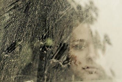 Tips Cara Membersihkan Kerak Pada Kaca Aquarium Dunia Akuarium