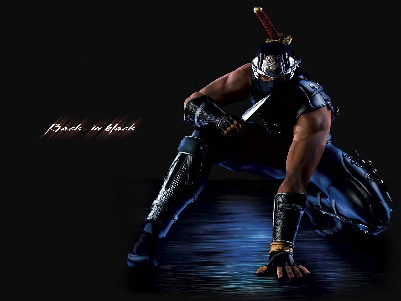 Real Wallpapers: 3D Ninja Wallpaper Real Wallpapers: 3D Ninja Wallpaper