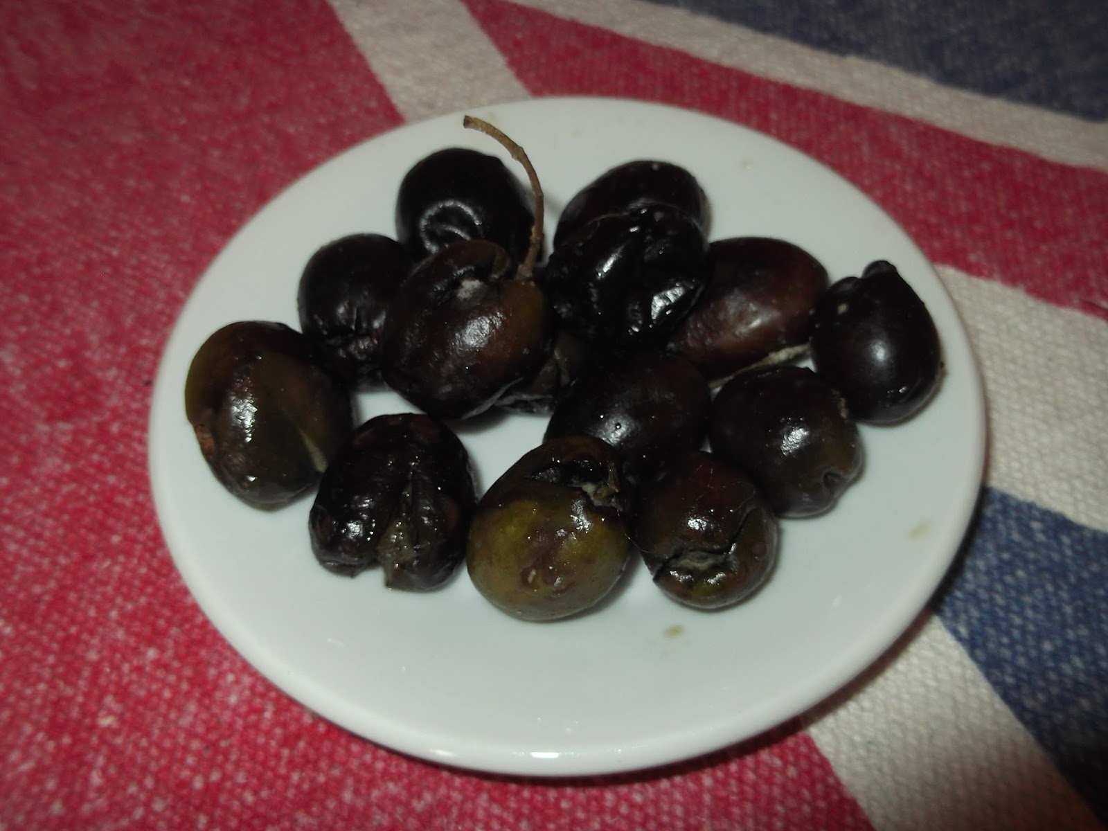 localkiwialien Olives, beer, stilton and dessert