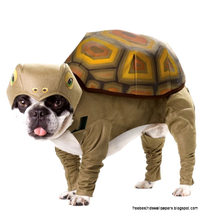 Pet Costumes Costumes for Pets Dog Costumes
