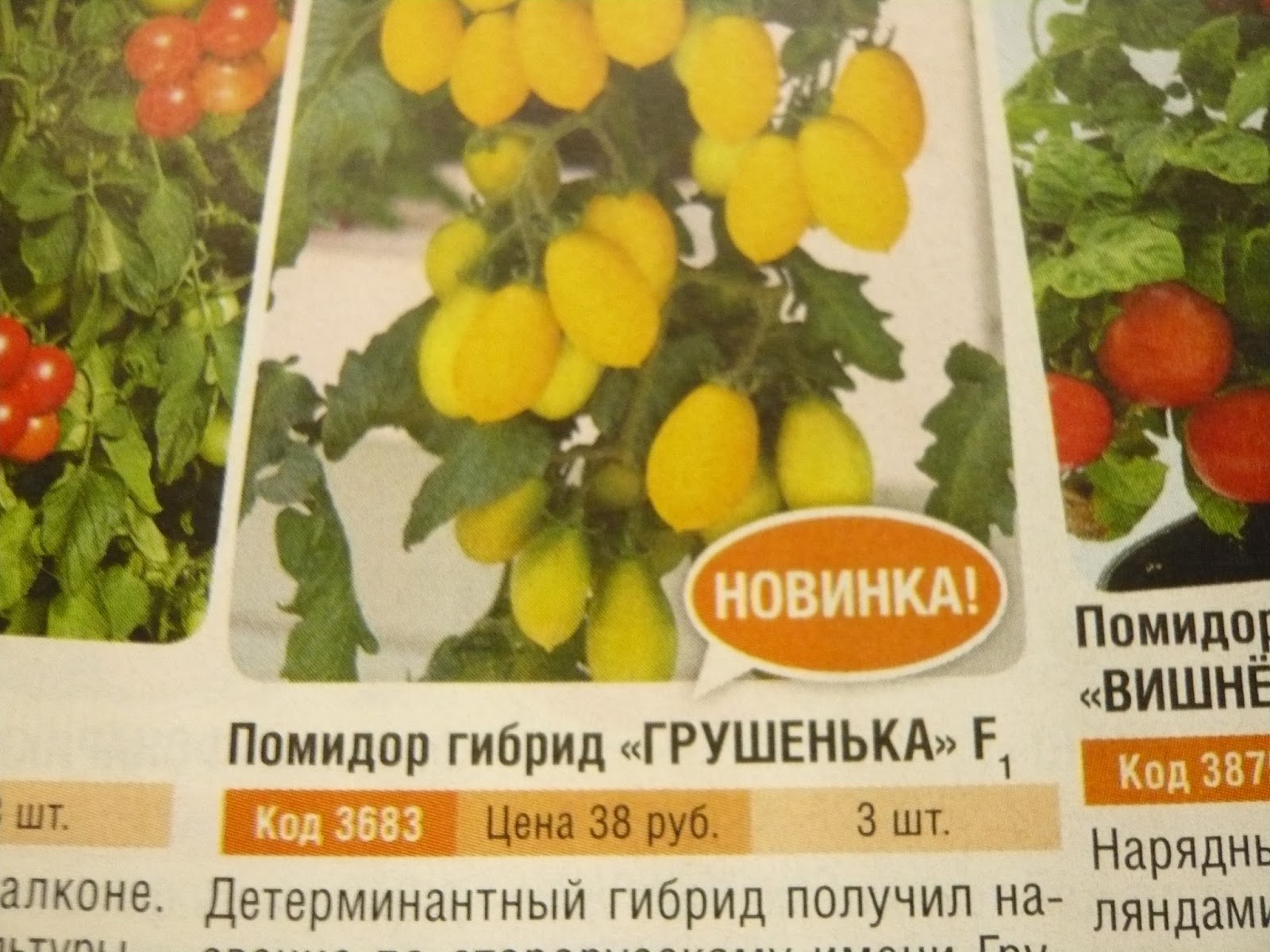 Томат Грушенька f1