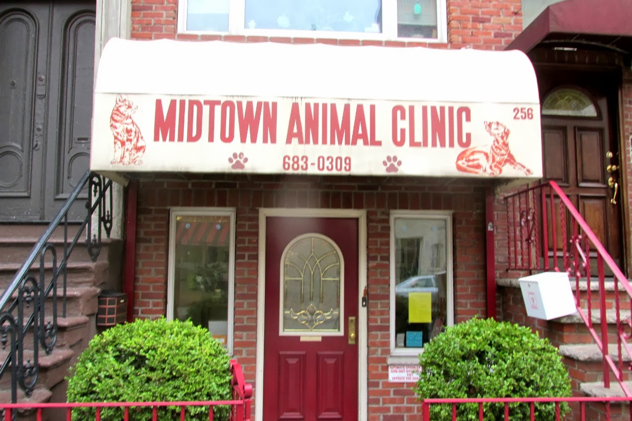 Midtown Blogger/Manhattan Valley Follies Midtown Animal Clinic