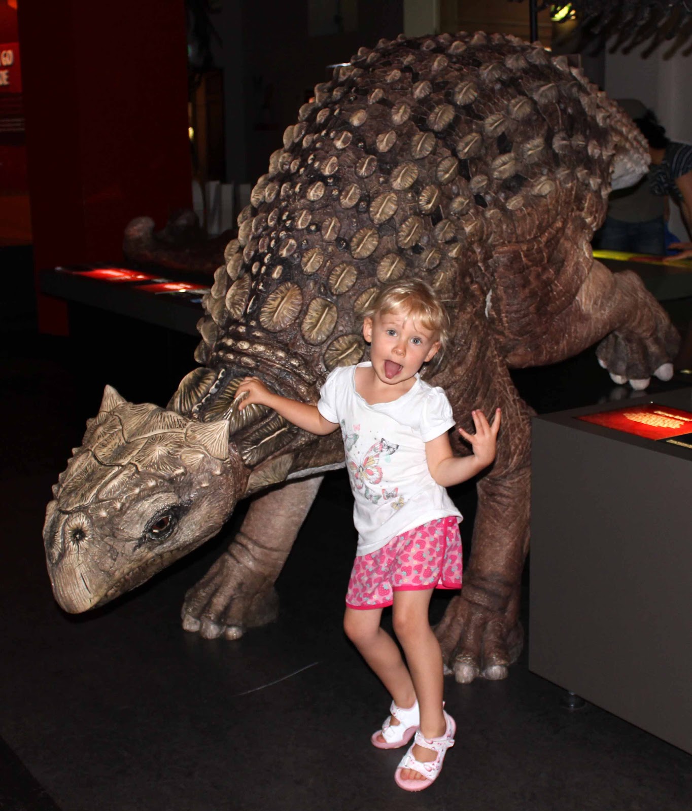 Creating and Educating Dinosaurs At The Australian Museum