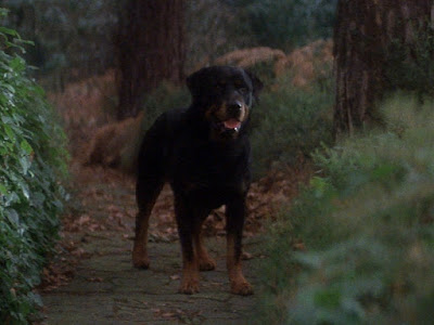 omen dogs 1976 horror movie hellhound