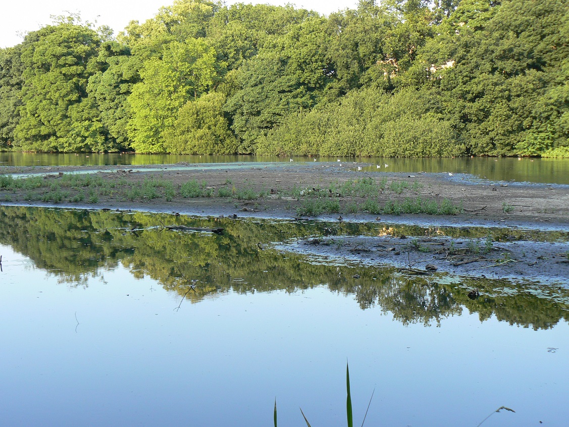 A Field Notebook Newton Lake