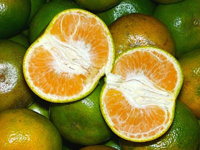 manfaat buah jeruk untuk kesehatan