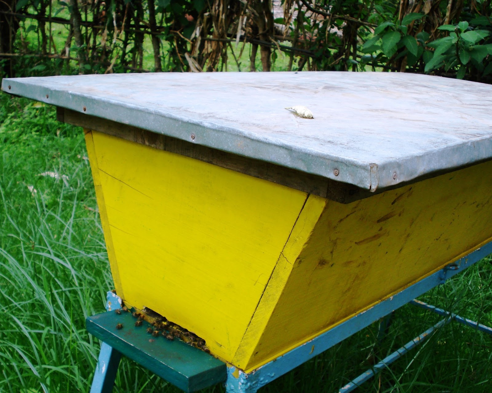 The Peace Bee Farmer Top Bar Hives