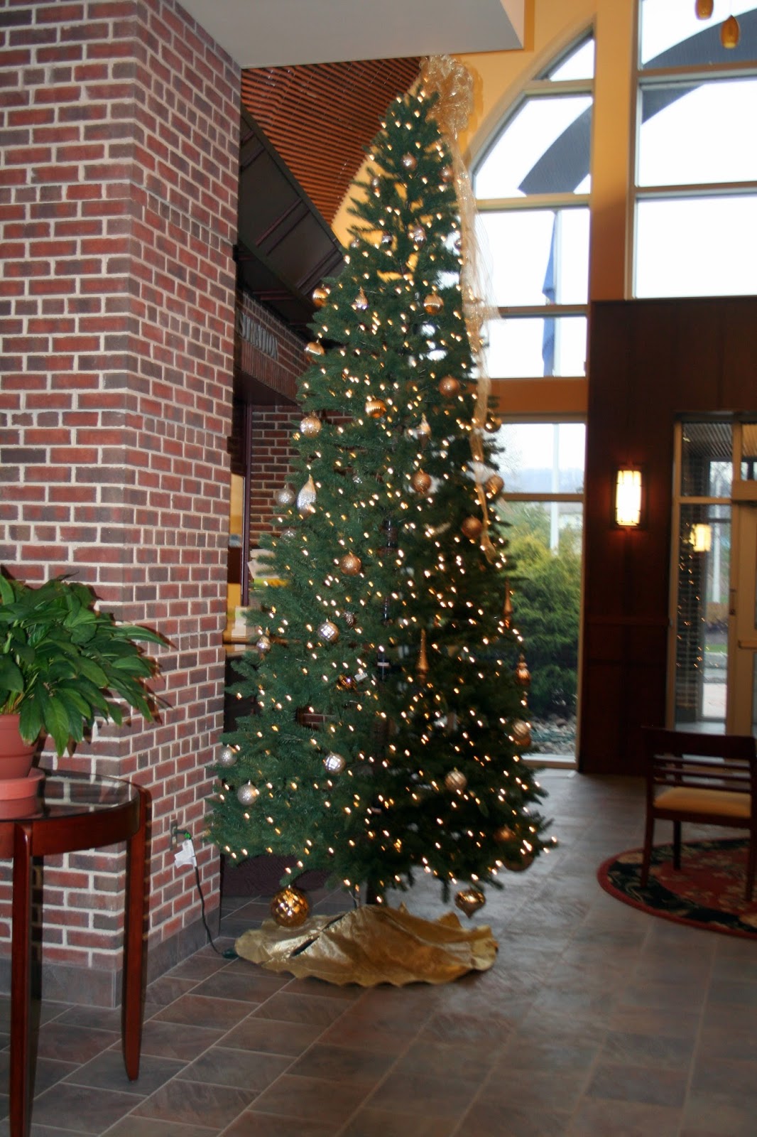 Lehigh Valley Ramblings Bushkill Tp Has No Christmas Tree!