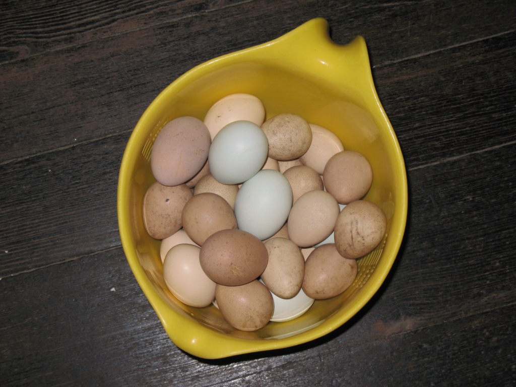 Guinea Fowl Egg Candling Chart