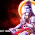Lord Shiva Song - Bramha Murari Suraarchitha Lingam