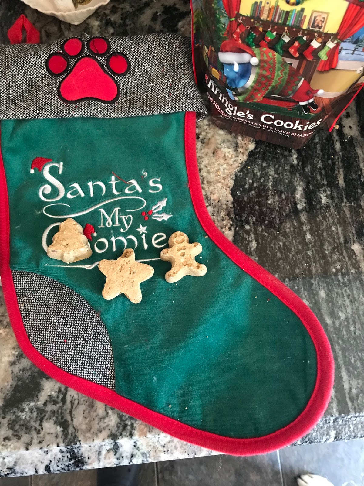 Traveling Dog Lady DIY Holiday Treat Bag with BLUE Santa Snacks from