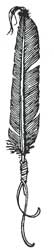 NILL logo feather