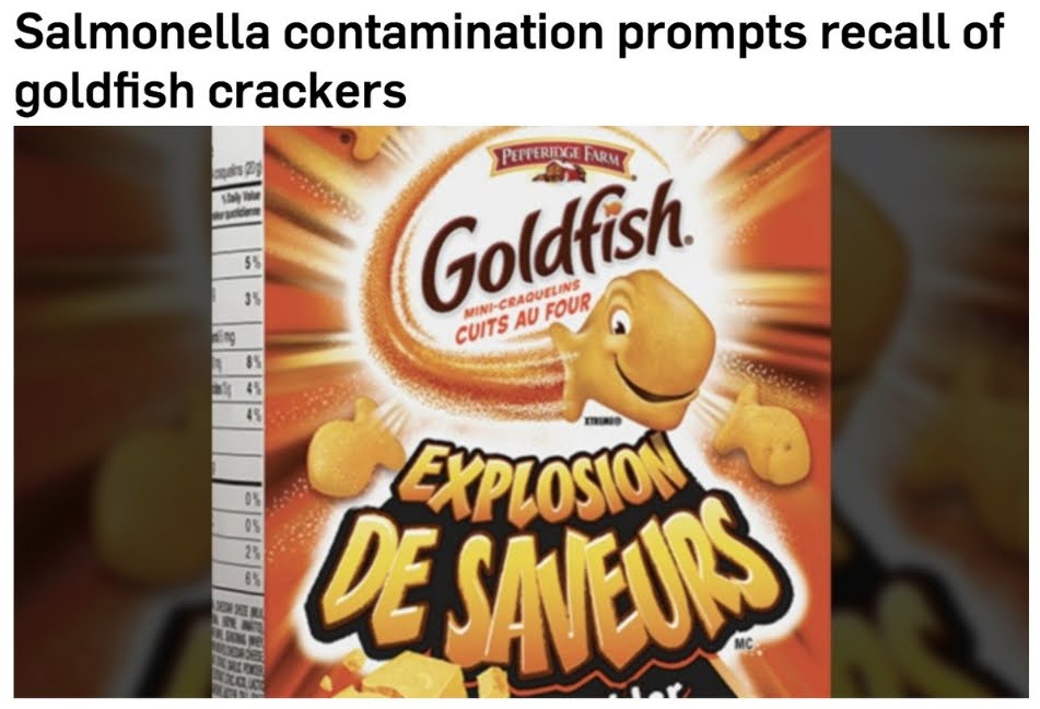 Allarme Salmonella nei cracker Ritz Kellogg's e Goldfish venduti anche Online.