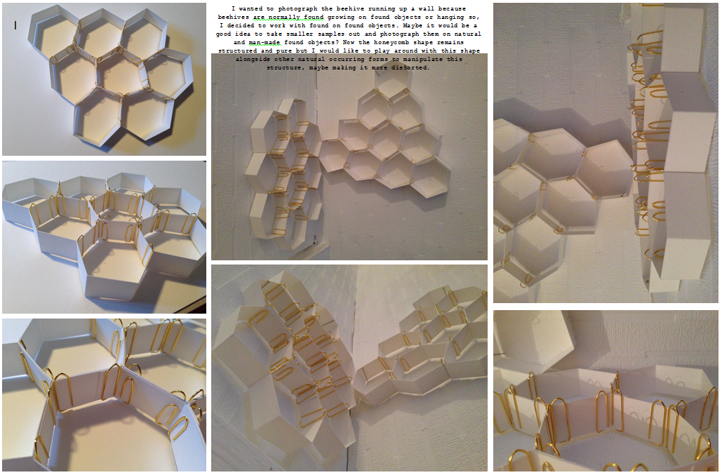 Hayley Bartram L6 Paper Structure...