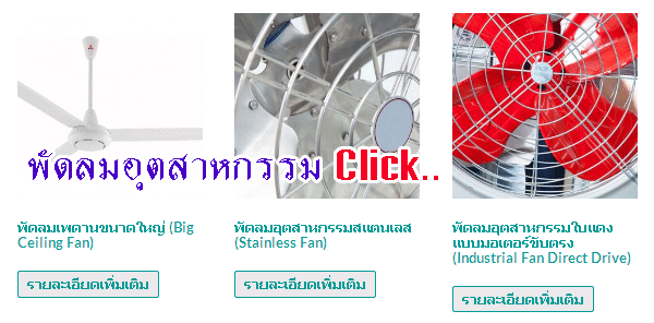  พัดลมเพดาน (Ceiling Fan)